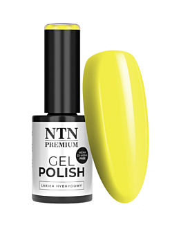 NTN Premium California Lakier Hybrydowy UV LED Nr 143 5 g