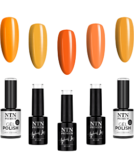 NTN Premium 5x5 g Lakier Hybrydowy Do Paznokci Dyniowe Halloween Jesień