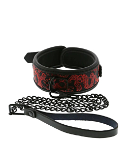 Dream Toys Blaze Deluxe Collar & Leash obroża ze smyczą
