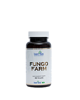 Invent Farm Fungo Farm