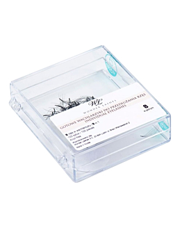 Wonder Lashes Rzęsy Metoda Objętościowa Wachlarzyki 8 w 1 C 0,08 15 mm
