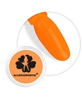Allepaznokcie Smoke Nails Pyłek Do Paznokci Efekt Dymu Neon Light Orange Nr 04