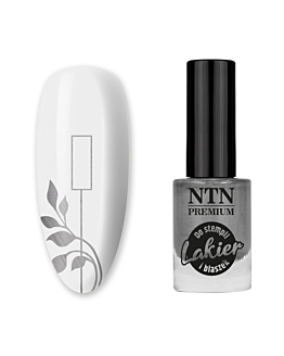 NTN Premium Lakier Do Stempli I Blaszek Srebrny Nr 91 7ml