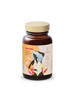 Healthlabs BrownMe, Kapsułki