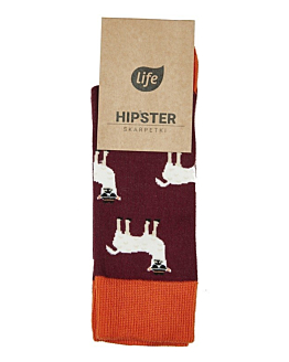 Life Calzini in Cotone Hipster Motivo Lama Taglia 39-42