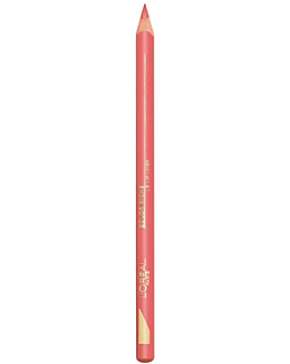 L’Oréal Paris Color Riche Matita Labbra 114