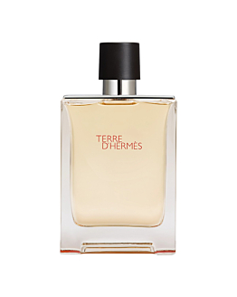 Hermès Terre D'Hermès Eau de Toilette per uomo 100 ml