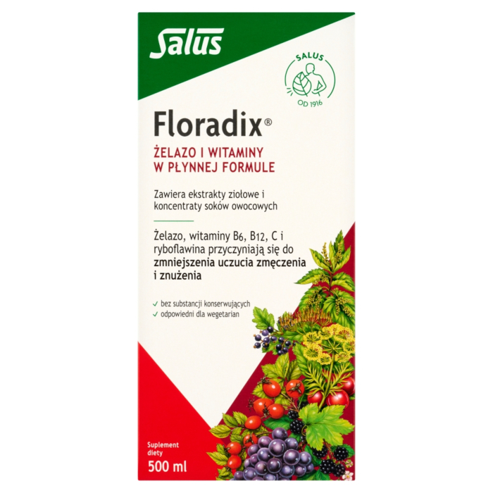 Floradix Żelazo i Witaminy, Płyn doustny 