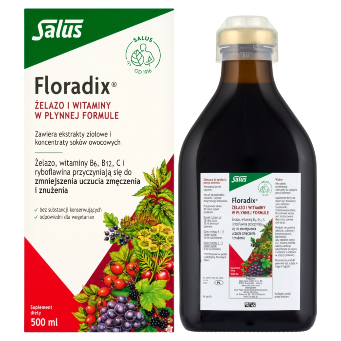 Floradix Żelazo i Witaminy, Płyn doustny 