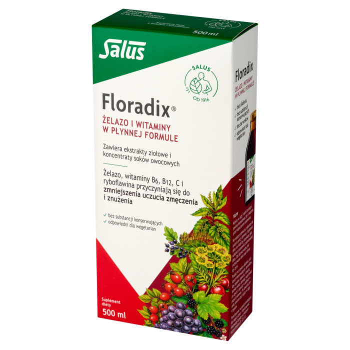 Floradix Żelazo i Witaminy, Płyn doustny 