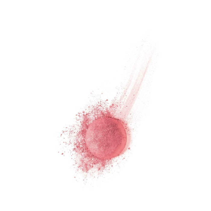 Bourjois Pastel Joues 54 Rose Frisson Róż do policzków