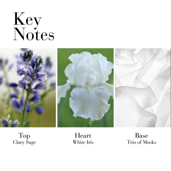 Elizabeth Arden White Tea Woda toaletowa dla kobiet 100 ml