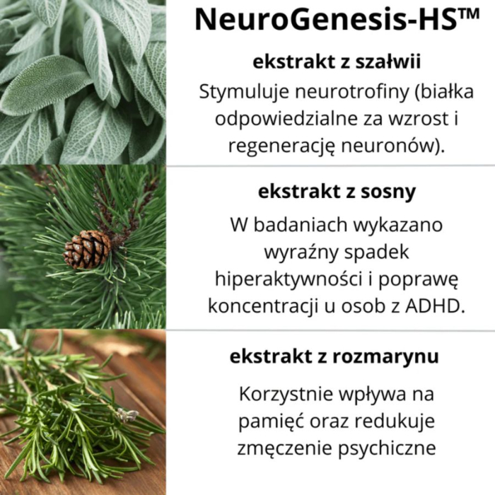NeuroGenesis Suplement diety Focus Formula kapsułki na koncentrację i pracę mózgu