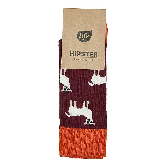 Life Skarpetki Bawełniane Hipster Wzór Lama Rozm. 39-42