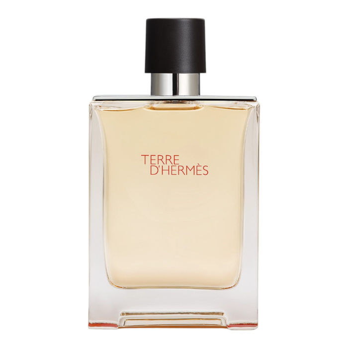 Hermes Terre d'Hermes Woda toaletowa dla mężczyzn, 100 ml