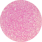 Glam Shop Ombretto Turbo Pigment, Turbo Caramella