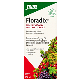 Floradix Żelazo i Witaminy, Płyn doustny 
