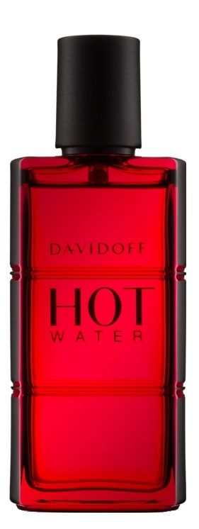 Davidoff Hot Water Eau de Toilette per uomo 110 ml 110 ml