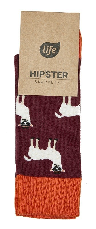 Life Skarpetki Bawełniane Hipster Wzór Lama 35-38