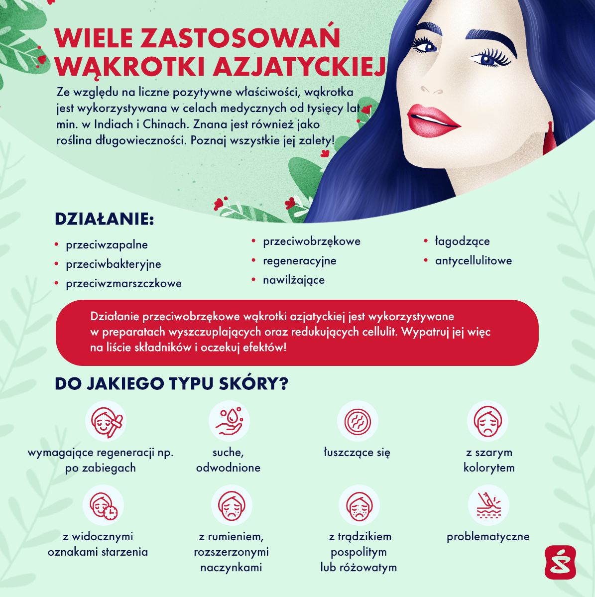 wąkrotka azjatycka infografika super-pharm